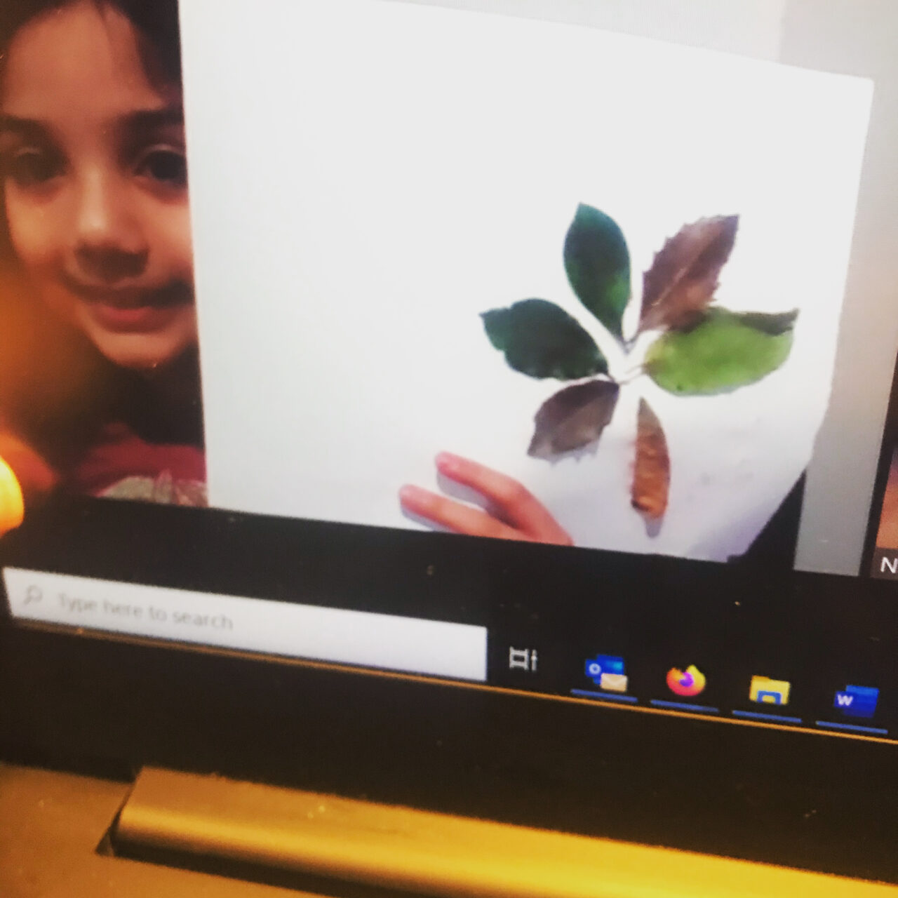 A girl is holding up a picture of leaves.